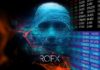 Take Help From RoFX Review – Profitable trading To Choose The Best Forex Signal?